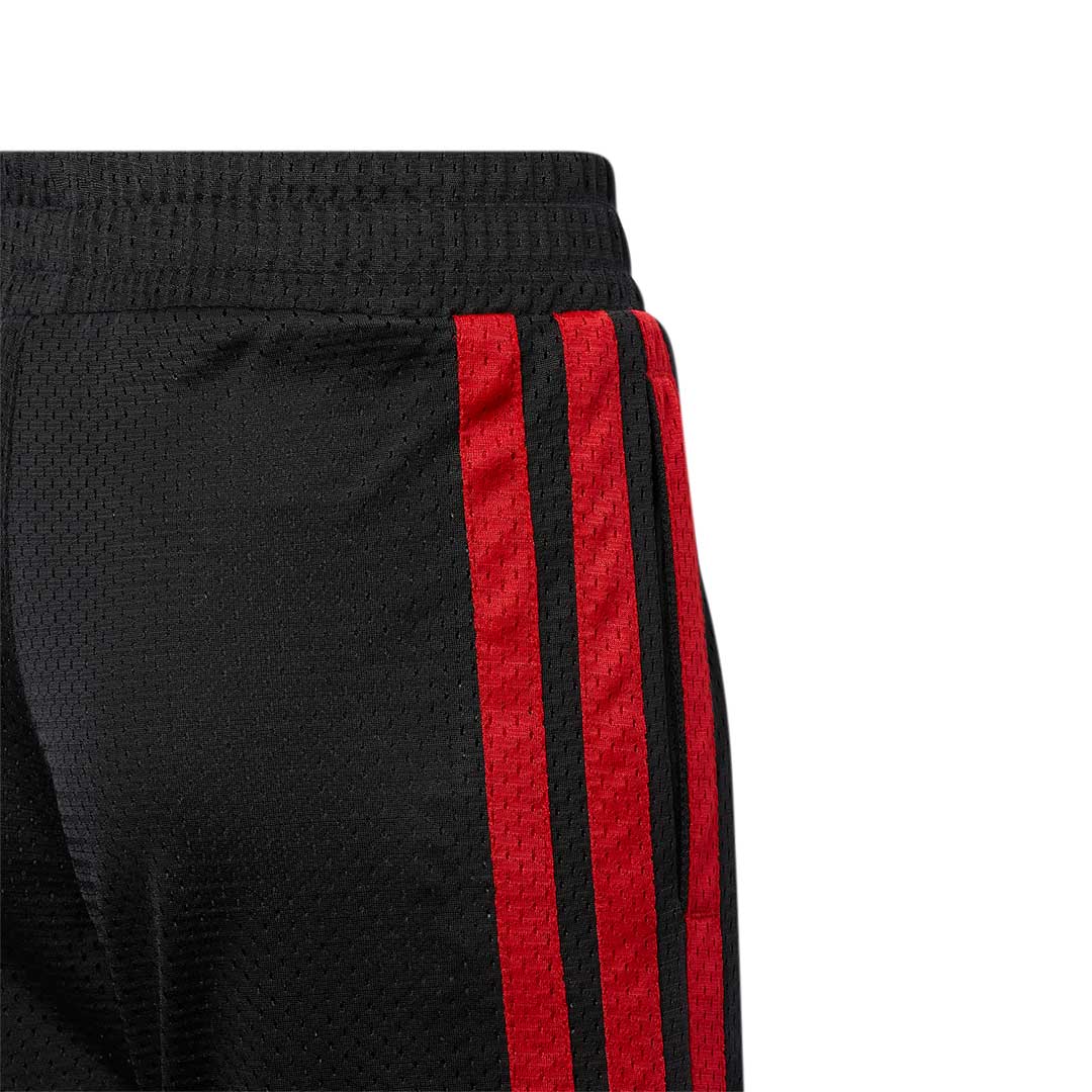 adidas - Kids' (Junior) Legend Basketball Shorts (HF5890)