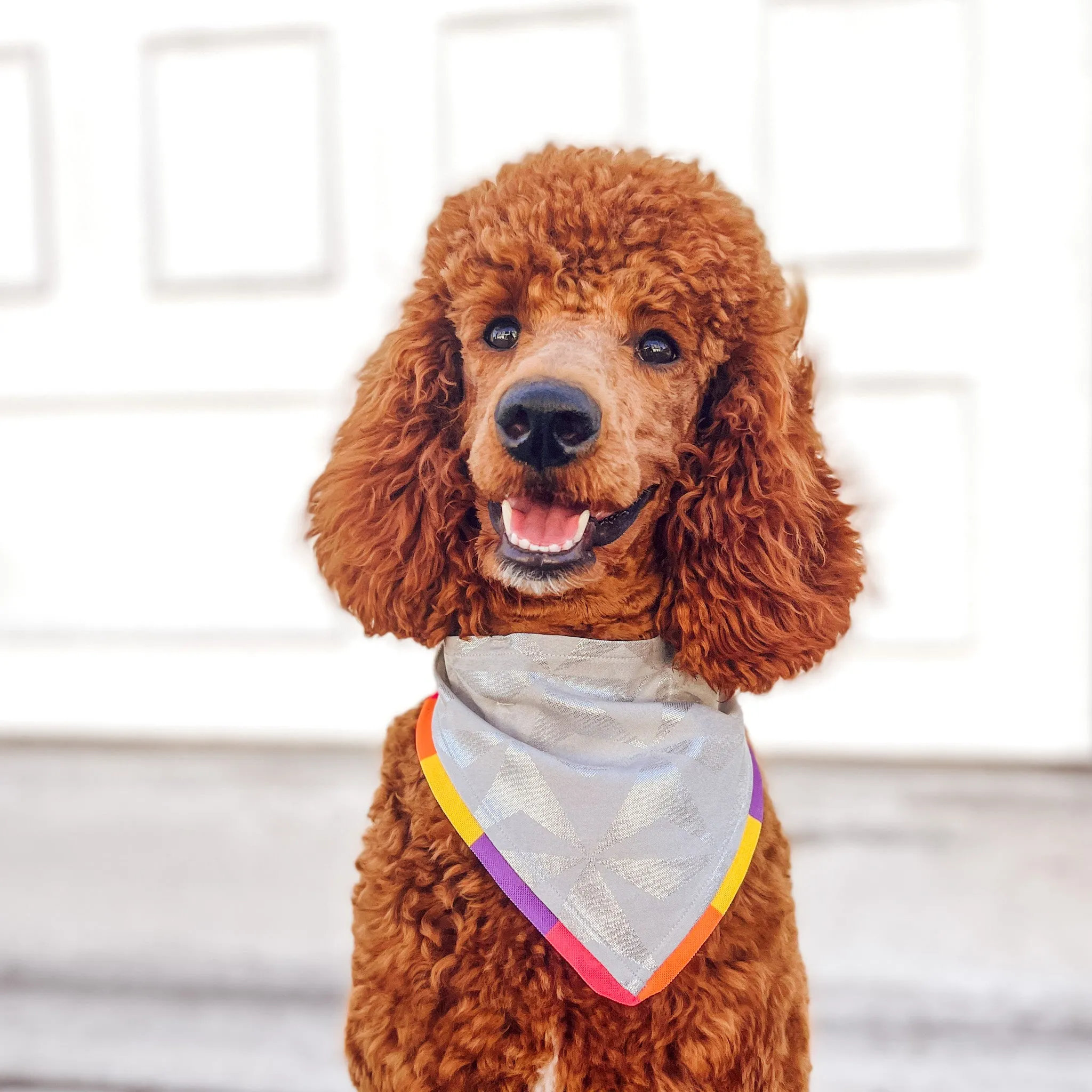 Geodesic Day Pet Bandana