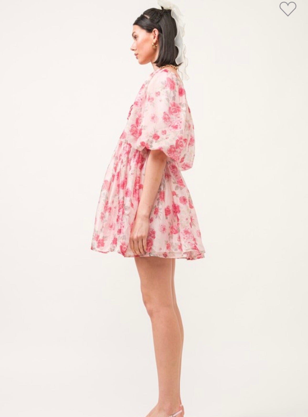 Rose Garden Dress